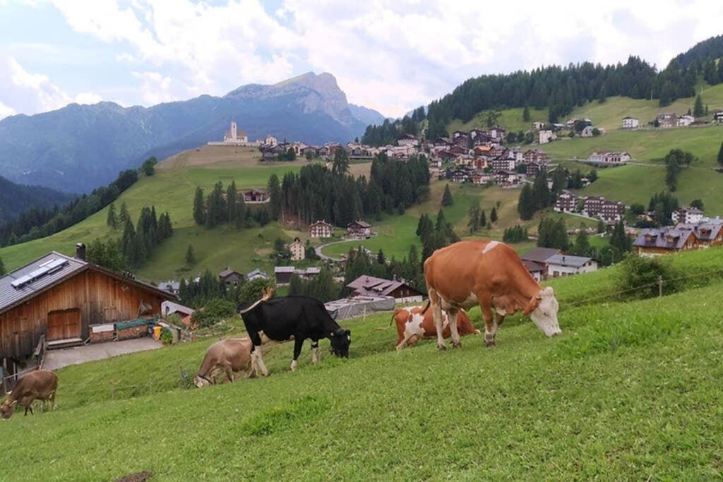 App Col Di Lana - Agriturismo La Majon Da Col Colle Santa Lucia Exteriör bild